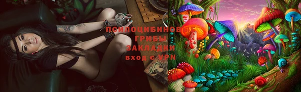 прущая мука Снежногорск
