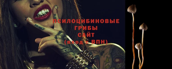 амф Снежинск