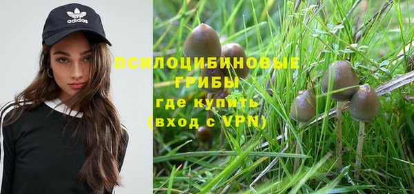 прущая мука Снежногорск