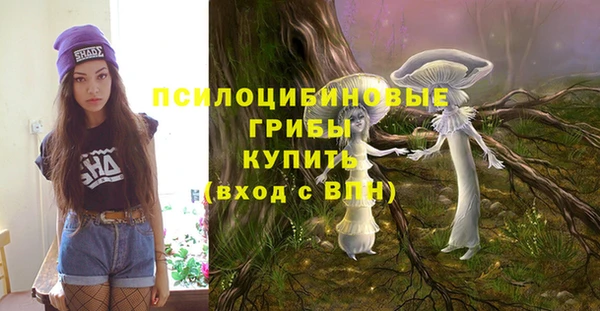 прущая мука Снежногорск