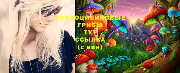 метамфетамин Сосновка
