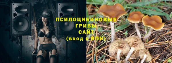 прущая мука Снежногорск