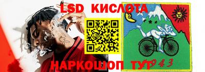 spice Кинель