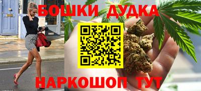 spice Кинель