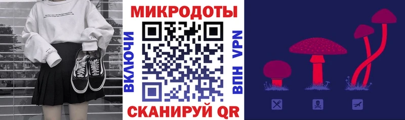 Псилоцибиновые грибы Psilocybine cubensis  Невинномысск 