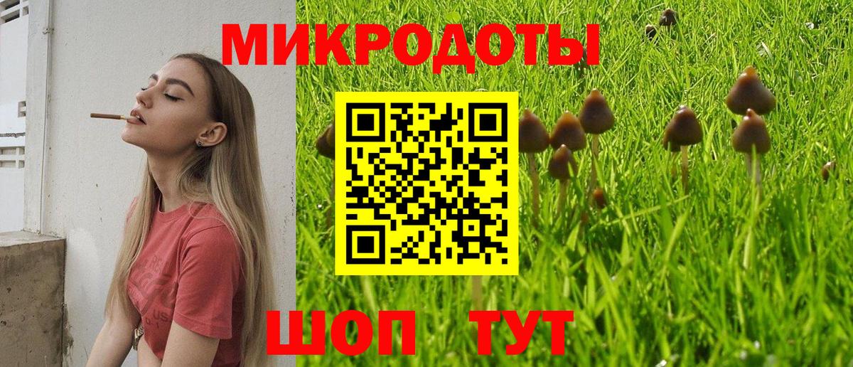 Псилоцибиновые грибы ЛСД  наркошоп  Вход с VPN  Невинномысск  Псилоцибиновые грибы мицелий 