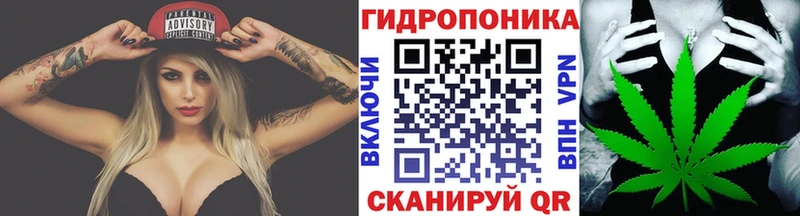 Шишки марихуана ГИДРОПОН Невинномысск